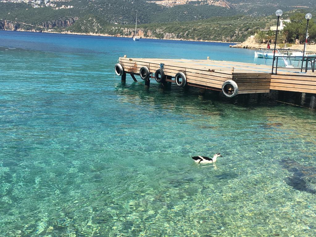 La Moda Beach Hotel Kaş Exterior foto